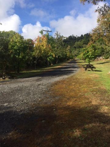Tui Glen Villa Raurimu Dış mekan fotoğraf